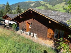 Chalet Sorgenfrei Schwarzsee